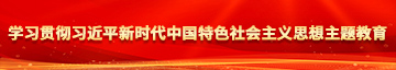 鸡巴操大逼网站学习贯彻习近平新时代中国特色社会主义思想主题教育